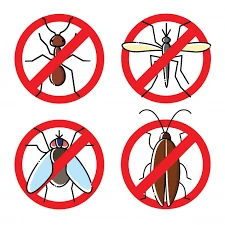 Pest and insect control