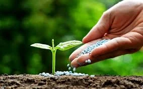 الأسمدة الزراعية والتربة